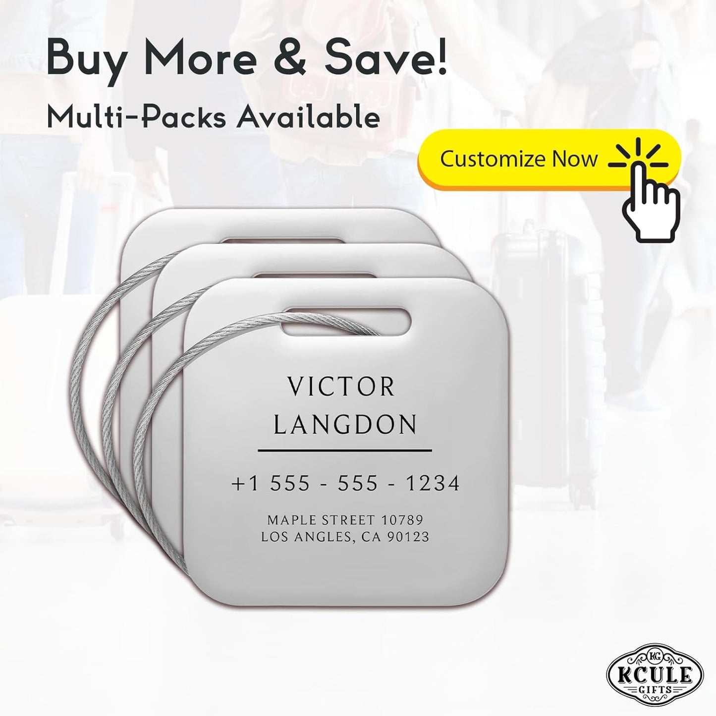 Stainless Luggage Tags for Suitcases: Metal Personalized Luggage Tags and Bags with Customizable Texts (Silver)