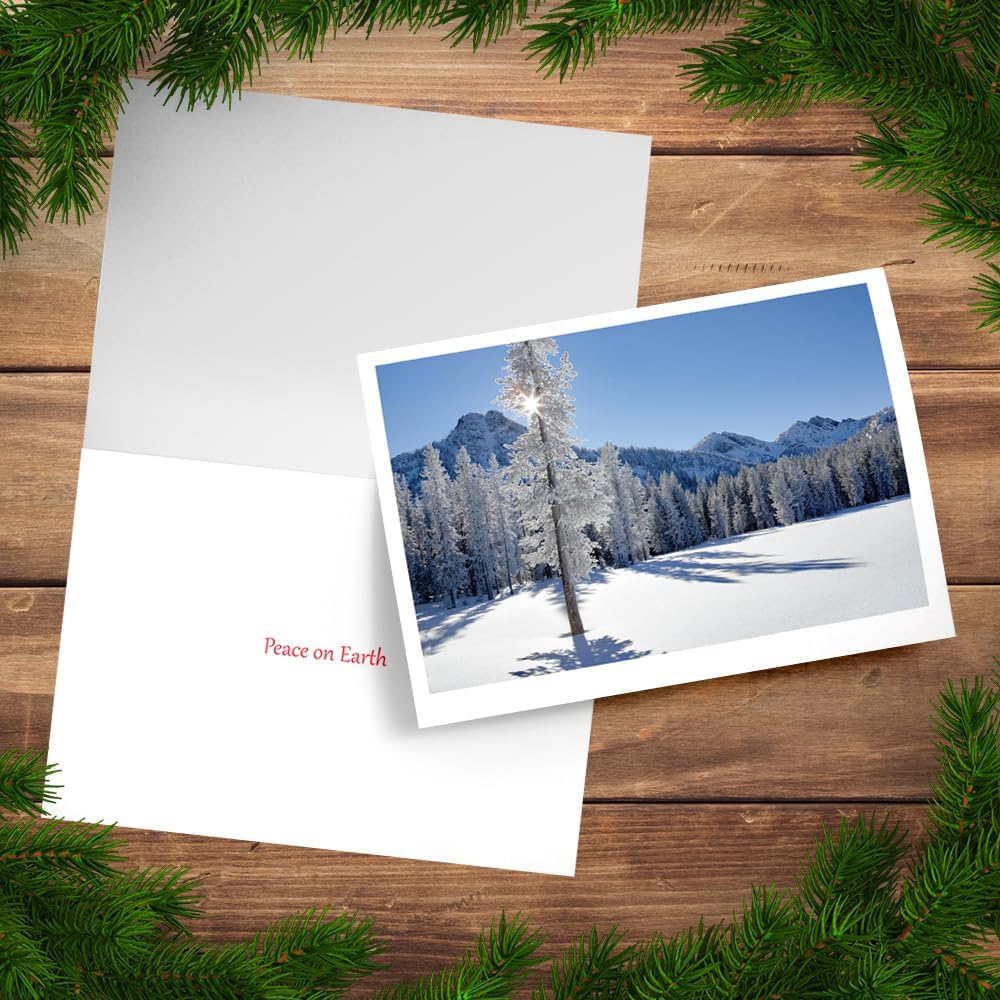 Photographic Happy Holidays Cards, Snowy Trees (6 Cards with White Envelopes)