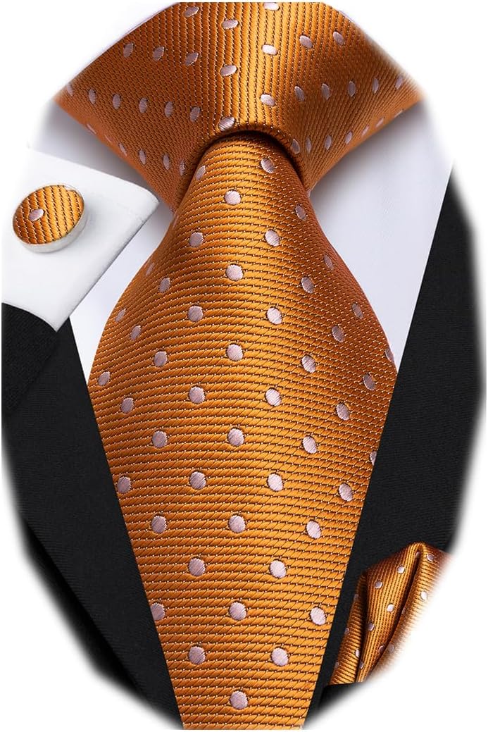 Dubulle Mens Paisley Striped Tie WOVEN Necktie for Men and Handkerchief Cufflinks Set Wedding Formal Business