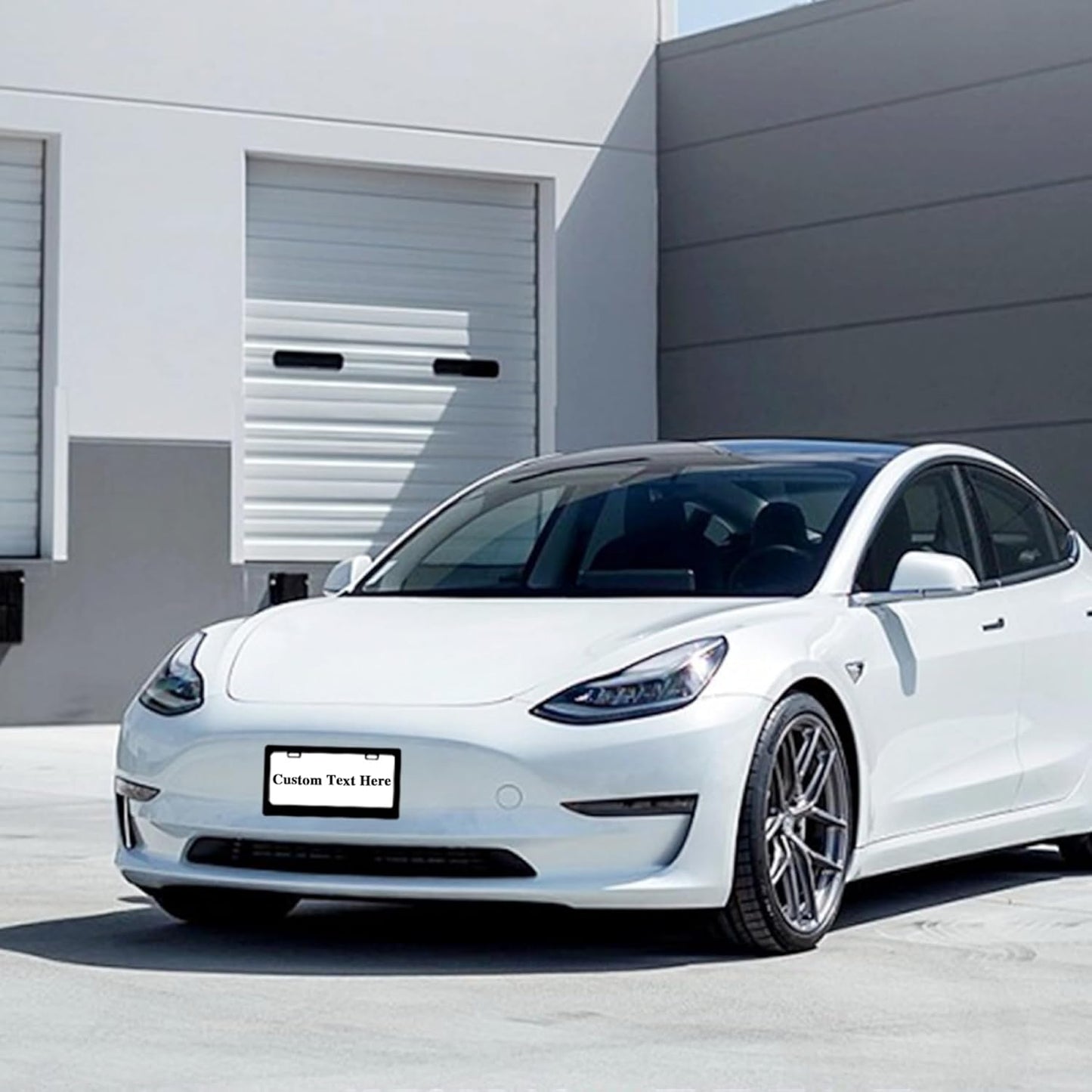 Personalized License Plate Frame, Custom License Plate Holder with Text Photo Logo，Customized Aluminum Metal License Plate Holder for Women Men with Screw Caps,12"x6"