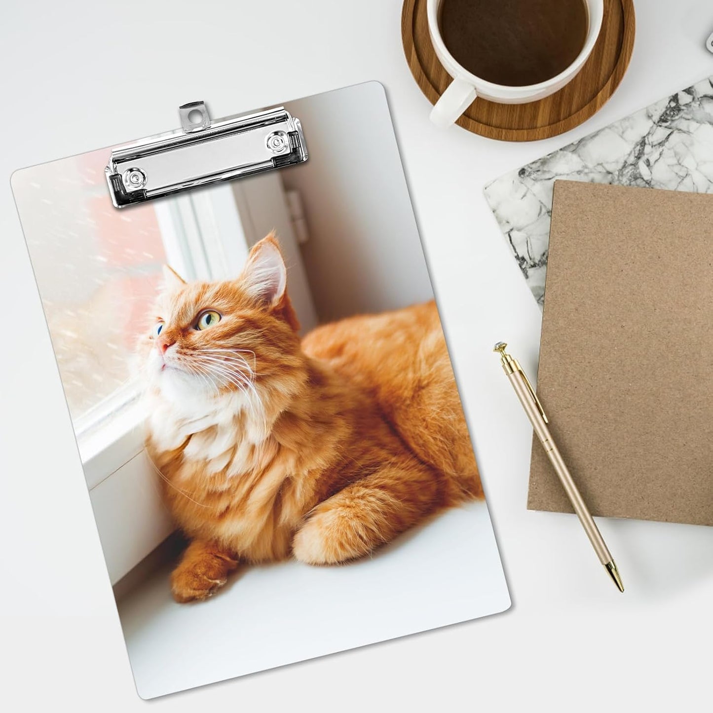 Plastic A4 Clipboards, Cute Fashion Clipboard Decorative, 12.2" x 8.7" Standard A4 Size Clipboards, Plastic Acrylic Clipboard for Teacher, Social Worker, Students,Women, Office Supplies(Cat)