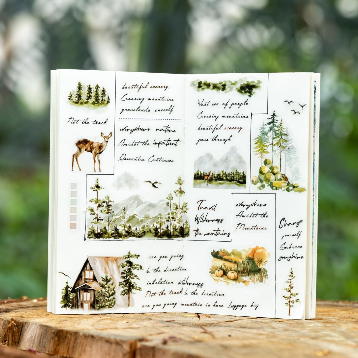 Elegant Phrase PET Sticker Book Set, 60 Sheets of Pre-Cut Text Stickers for Scrapbooking, Journaling, Junk Journal Supplies, and DIY Crafts