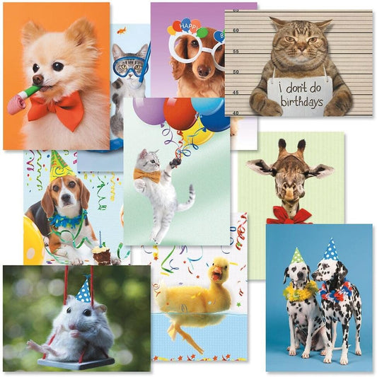 Current Kids Animal Photo Happy Birthday Greeting Card Set - Value Pack of 20 Cards for Kids With White Envelopes, 10 Designs, Large 5" x 7" Assortment