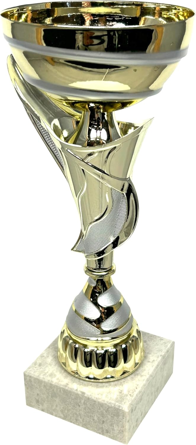 Express Medals Various Styles of Award Trophy Cups Trophies Prize Gift Champion Winner 1st Place