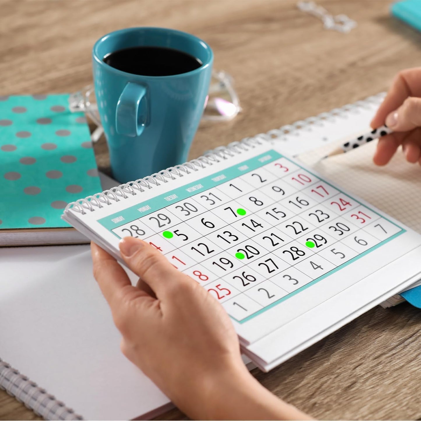 ChromaLabel 1/4 Inch Circle Labels, Permanent Colored Dot Sticker, High Visibility Sticky Dots, Easy to Write on Office Labels & Stickers - 1000 Circle Stickers, Matte Finish Fluorescent Green