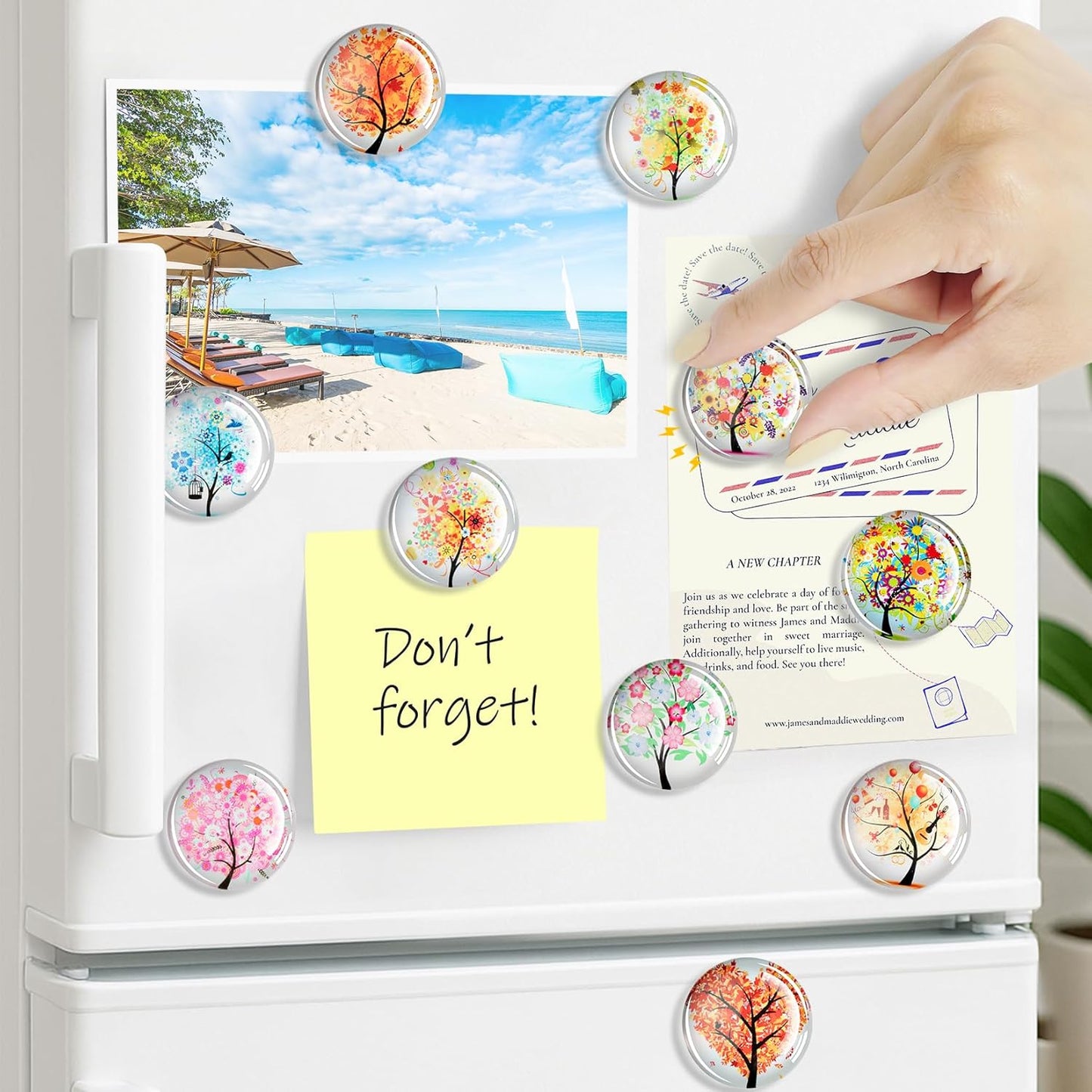 FINDMAG 12 Pcs Fridge Magnets, Decorative Refrigerator Magnets, Glass Magnet Refrigerator Fun, Strong Cute Magnet for Fridge, Locker, Whiteboard, Home, Kitchen, Office, Classroom, Adult