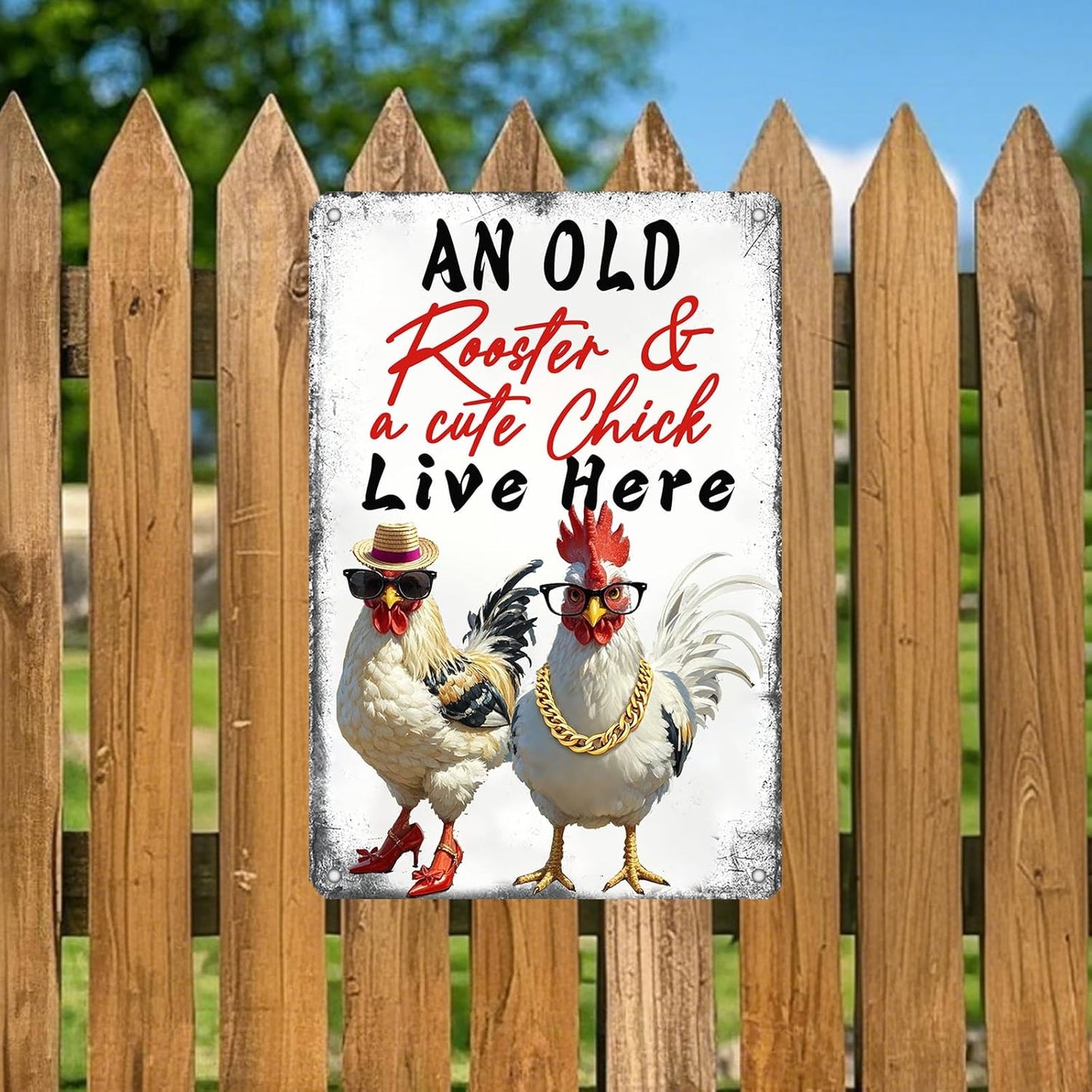 Rooster Decor Chicken Signs For Coop Chicken Coop Accessories Metal Tin Sign Vintage Style An Old Rooster & A Cute Chick Live Here Iron Poster Home Garden Kitchen Wall Decor 12x8 Inch Farmhouse Outdoor Plaque