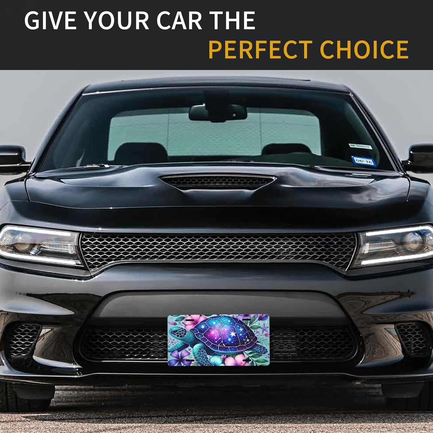 Front License Plate for Car Designs Flower Animal Turtle Stainless License Plate Cover Holder for Men Women Metal Aluminum Decorative Accessory Vanity Tag Standard 6 X 12 Inch (4 Holes)