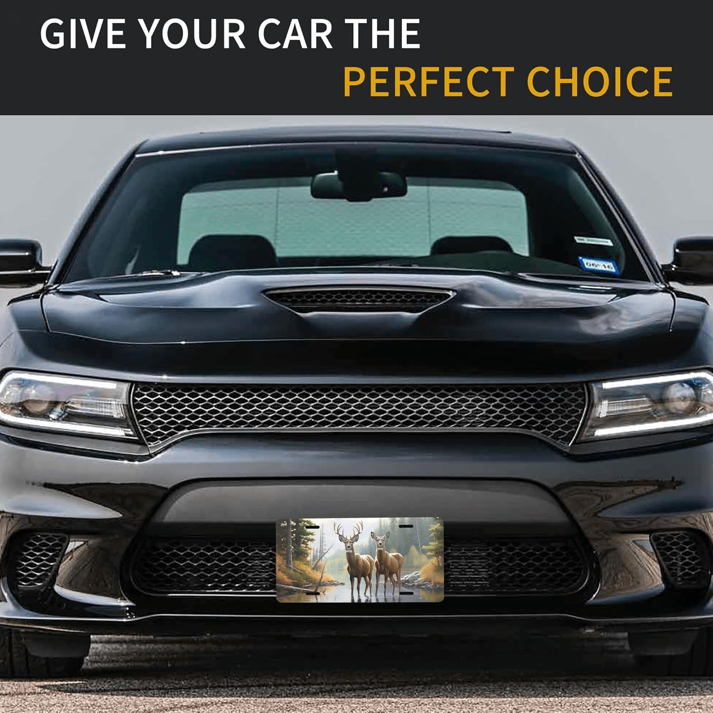 Front License Plate for Car Designs Forest Lake Animal Deer Stainless License Plate Cover Holder for Men Women Metal Aluminum Decorative Accessory Vanity Tag Standard 6 X 12 Inch (4 Holes)