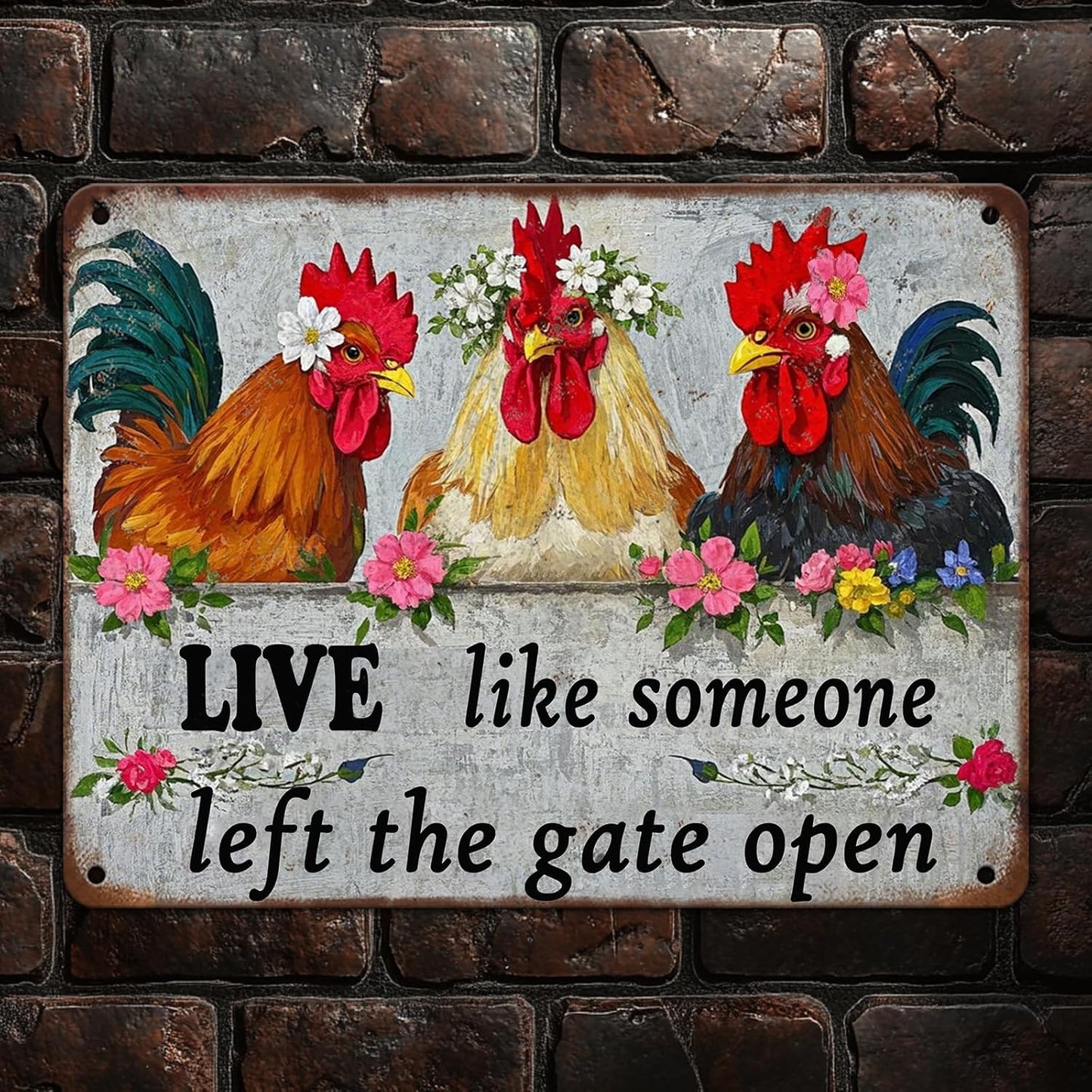 Funny Farmhourse Chicken Coop Metal Tin Signs 12x8 Inch Vintage Chicken Decor Sign Live Like Someone Left The Gate Open Poster Home Kitchen Garden Restaurant Rooster Outdoor Wall Art Decor