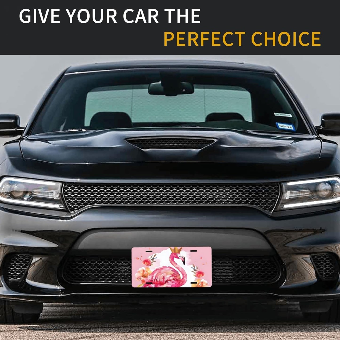 Front License Plate for Car Designs Pink Animal Flamingo Flower Stainless License Plate Cover Holder for Men Women Metal Aluminum Decorative Accessory Vanity Tag Standard 6 X 12 Inch (4 Holes)