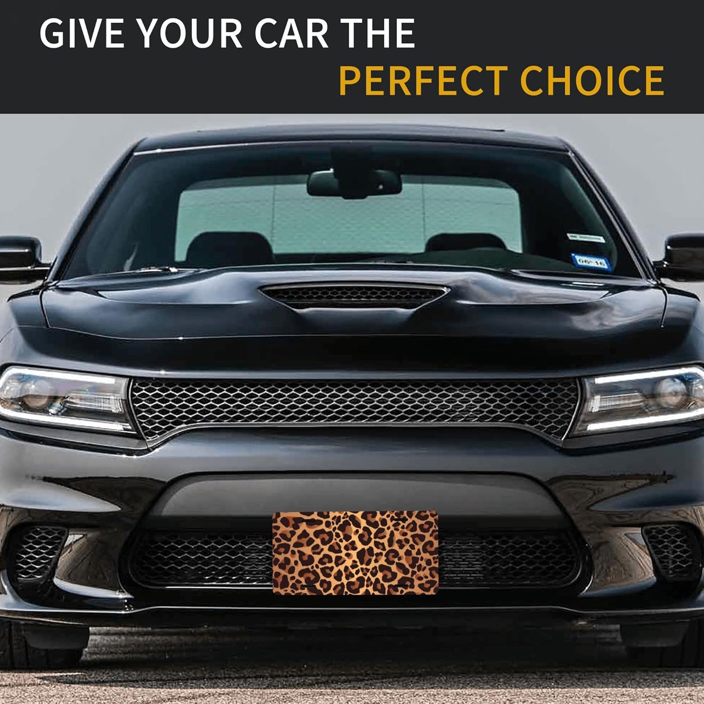 Leopard Print Animal Cheetah Front License Plate for Car Designs Stainless License Plate Cover Holder for Men Women Metal Aluminum Decorative Accessory Vanity Tag Standard 6 X 12 Inch (4 Holes)