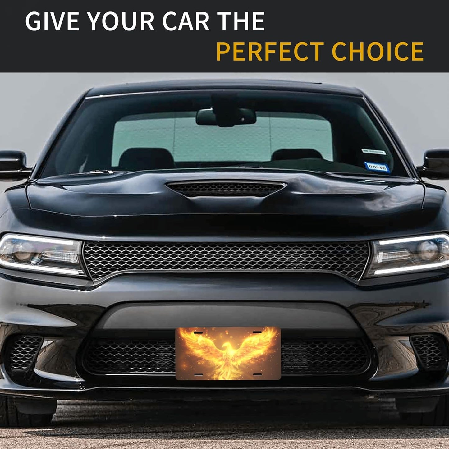 Golden Animal Bird Phoenix Front License Plate for Car Designs Stainless License Plate Cover Holder for Men Women Metal Aluminum Decorative Accessory Vanity Tag Standard 6 X 12 Inch (4 Holes)