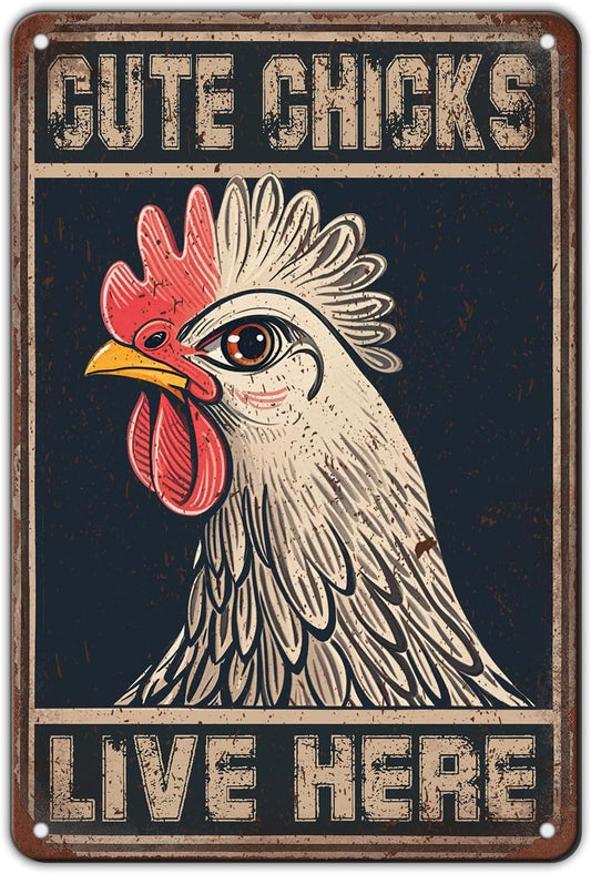 Chicken Signs For Coop Funny Outdoor - Cute Chicks Live Here Iron Sign Poster Chicken Sign Home Decor Garage Bar Restaurant Kitchen Cafe Bar Pub 12x8 Inch Wall Art Decor