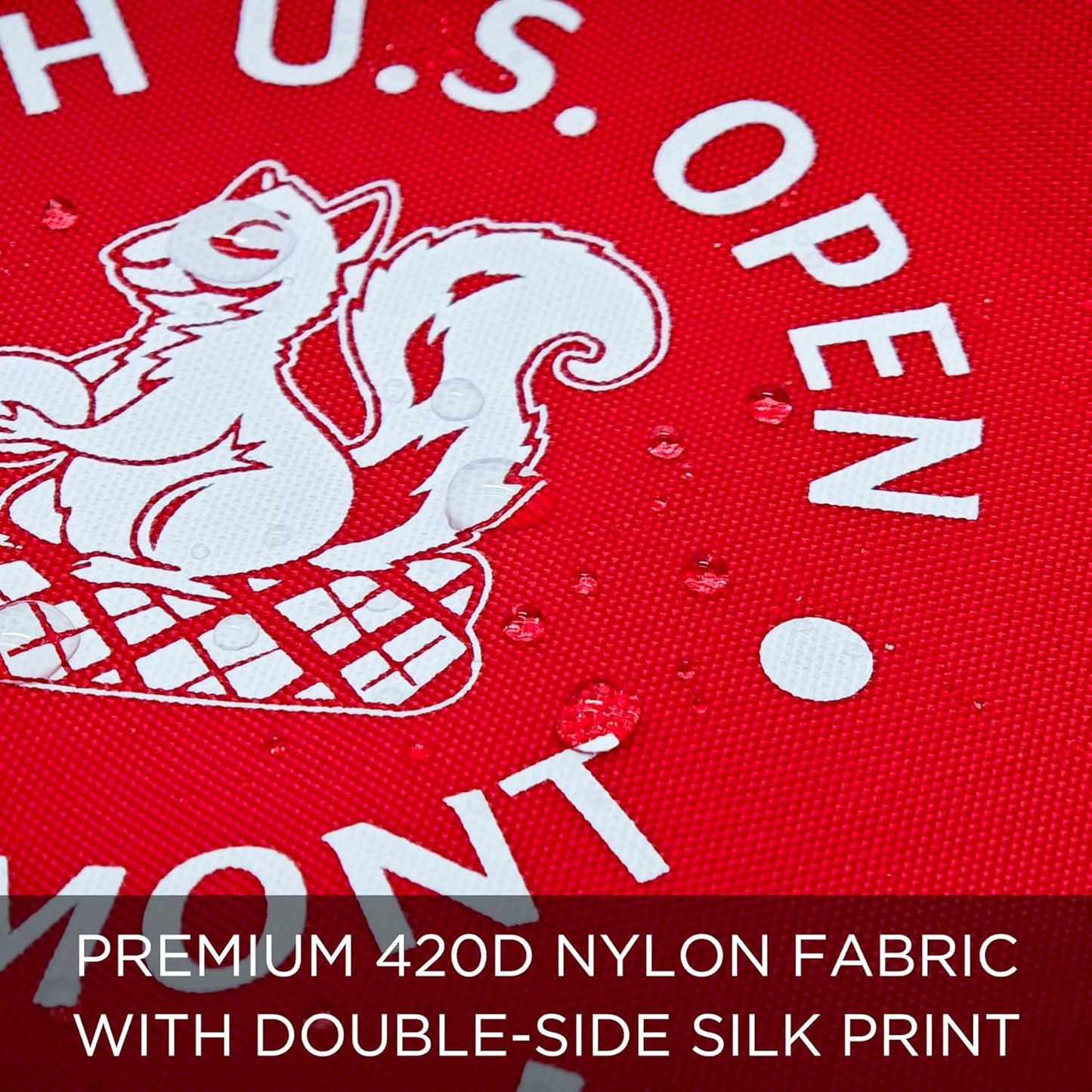 2025 Themed Mini Golf Flag, 8x6 Inch, Double-Sided Silk-Printed, Durable 420D Nylon, Ideal for Backyard Practice Putting Green