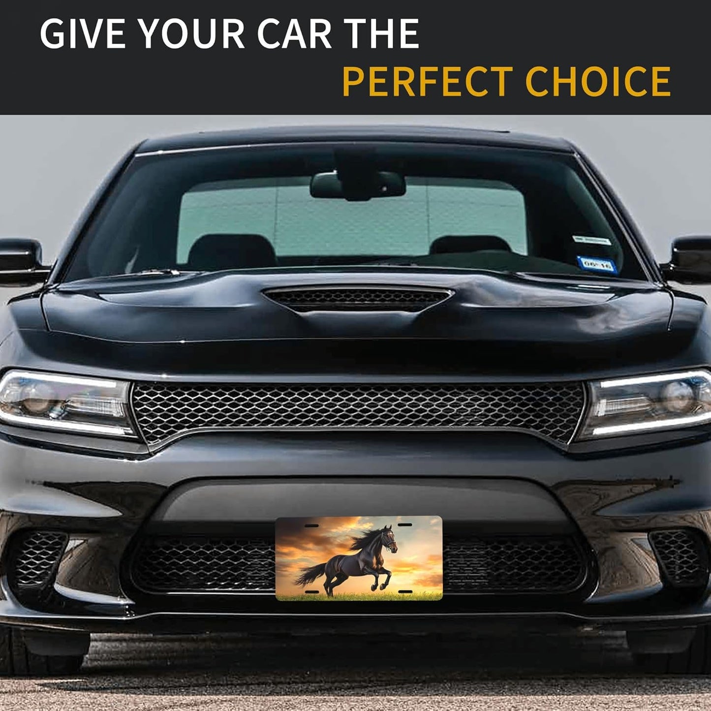 Front License Plate for Car Designs Running Black Animal Horse Stainless License Plate Cover Holder for Men Women Metal Aluminum Decorative Accessory Vanity Tag Standard 6 X 12 inch (4 Holes)