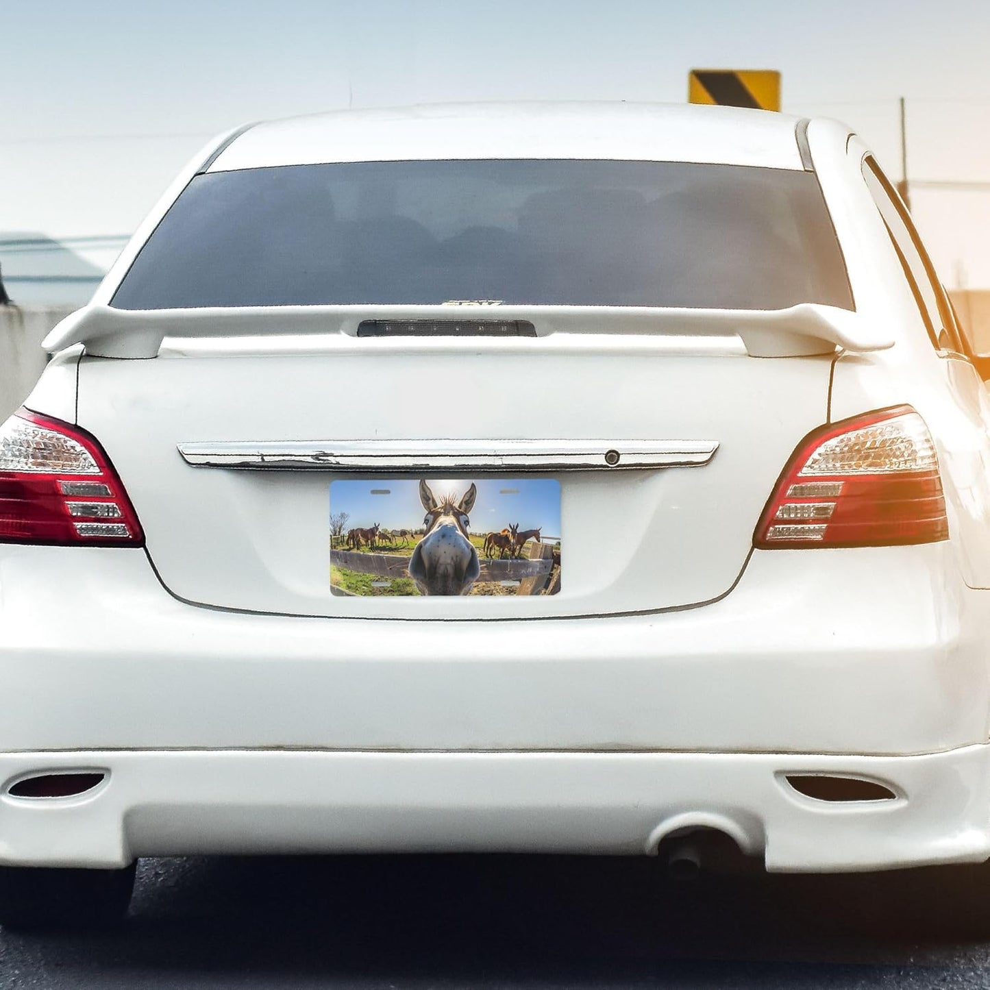 Grass Animal Donkey Countryside Front License Plate for Car Designs Stainless License Plate Cover Holder for Men Women Metal Aluminum Decorative Accessory Vanity Tag Standard 6 X 12 Inch (4 Holes)