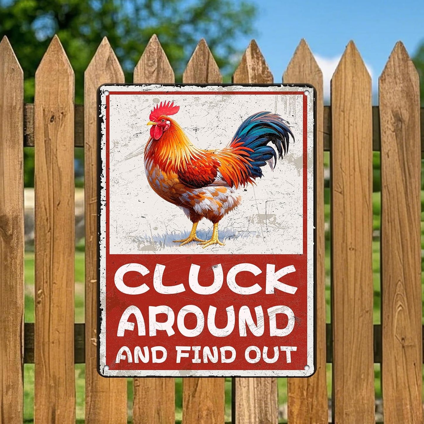 Cluck Around And Find Out Humorous Chicken Metal Tin Sign 12x16 Inch Farm Warning Poster Chicken Farm Tin Sign Home Kitchen Garden Cafe Office Shop Are Wall Decor