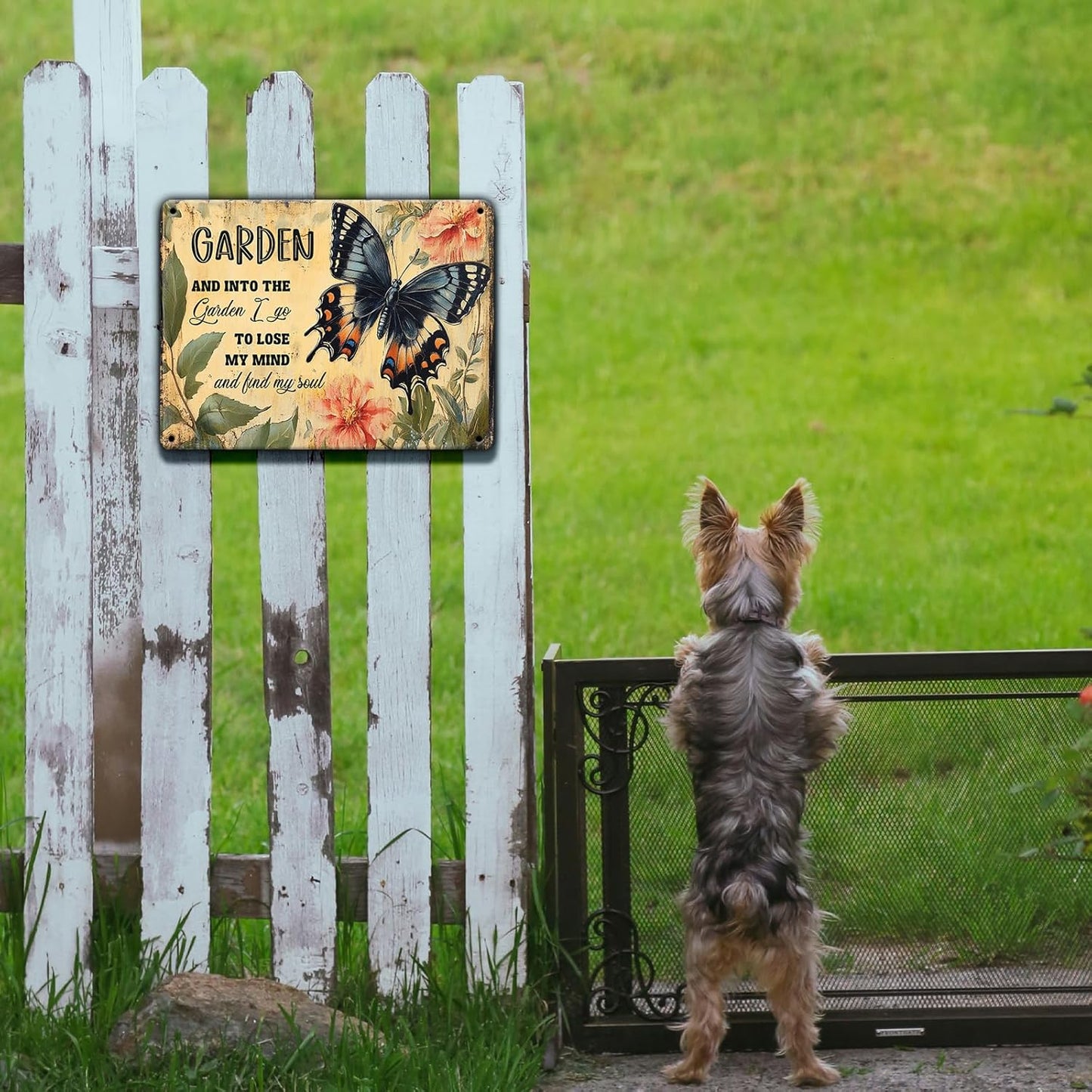Funny Garden Metal Sign And Into The Garden I Go To Lose My Mind and Find My Soul Butterfly Poster for Farmhouse Home Kitchen 8x12 Inch