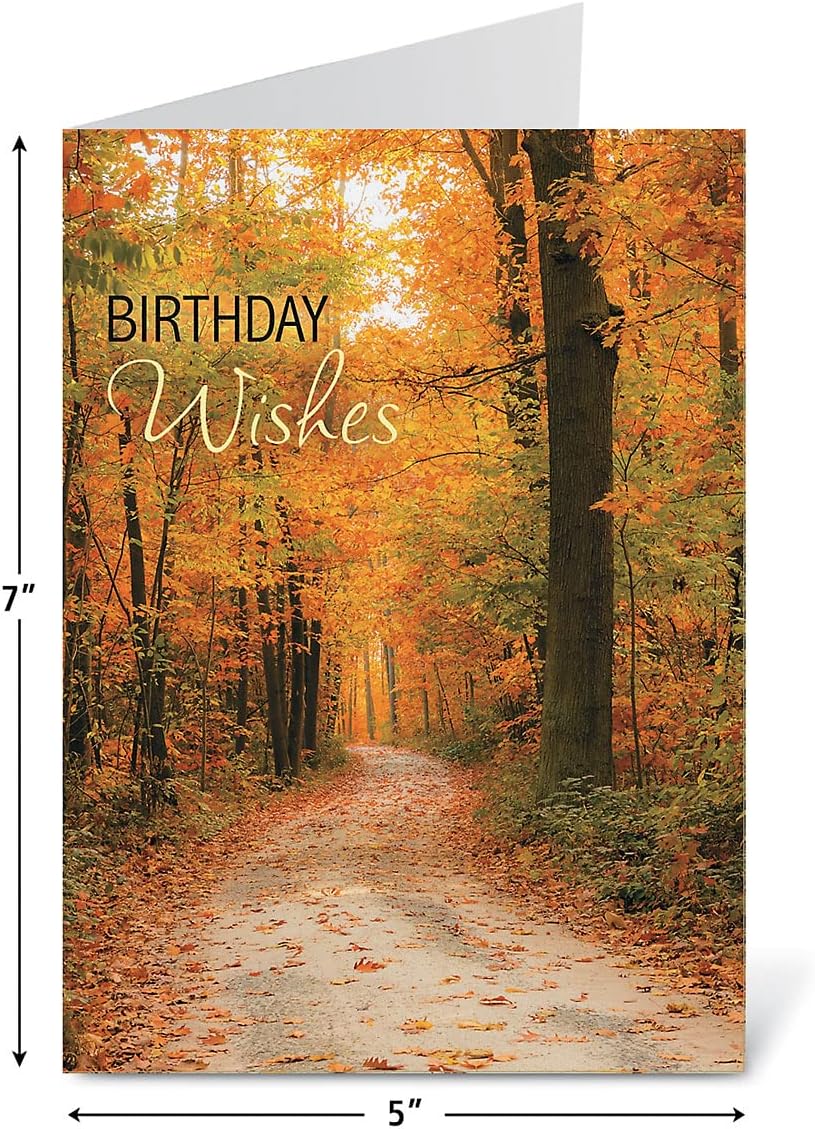 Current Scenic & Graphic Birthday Greeting Cards Value Pack - Set of 20, 10 Unique Designs, Large 5 x 7 Inch Cards, Sentiments Inside, Envelopes Included