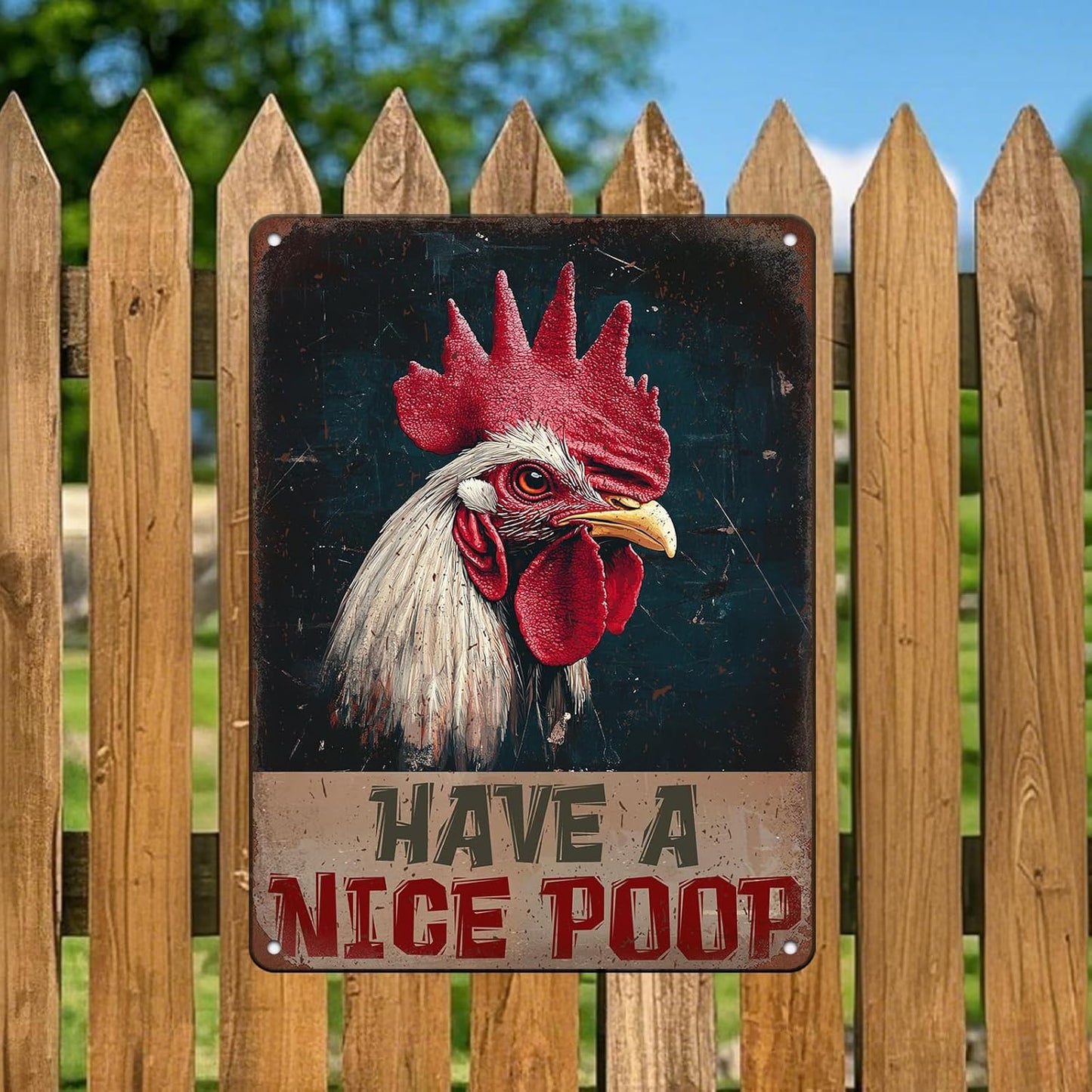 Vintage Chickens Have A Nice Poop Metal Tin Sign 12x16 Inch Chicken Funny Metal Poster Funny Chicken Tin Sign Home Kitchen Garden Bar Pub Restaurant Bathroom Are Wall Decor