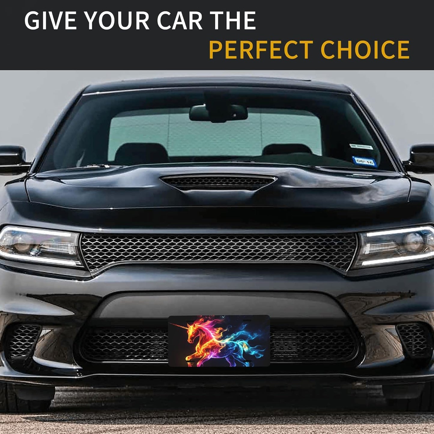 Front License Plate for Car Designs Color Flame Animal Horse Stainless License Plate Cover Holder for Men Women Metal Aluminum Decorative Accessory Vanity Tag Standard 6 X 12 inch (4 Holes)