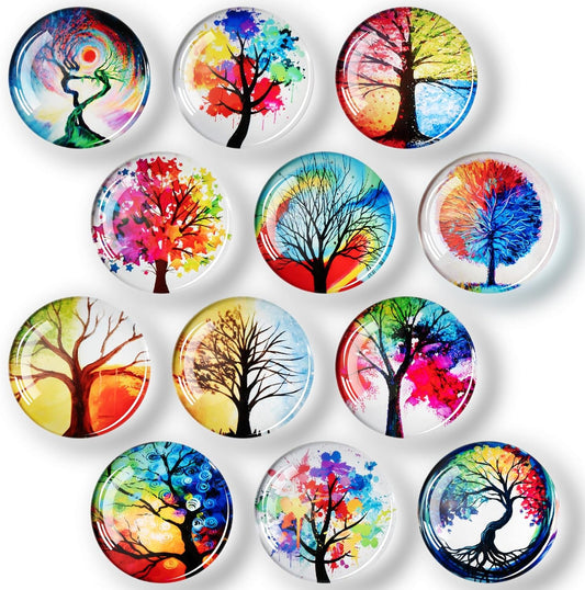 FIDNMAG Glass Fridge Magnets, Strong Magnets Refrigerator, Decorative Magnet for Fridge, Glass Refrigerator Magnet Cute for Office, Locker, Whiteboard, Home, Kitchen, Adults, Fun, Pack of 12