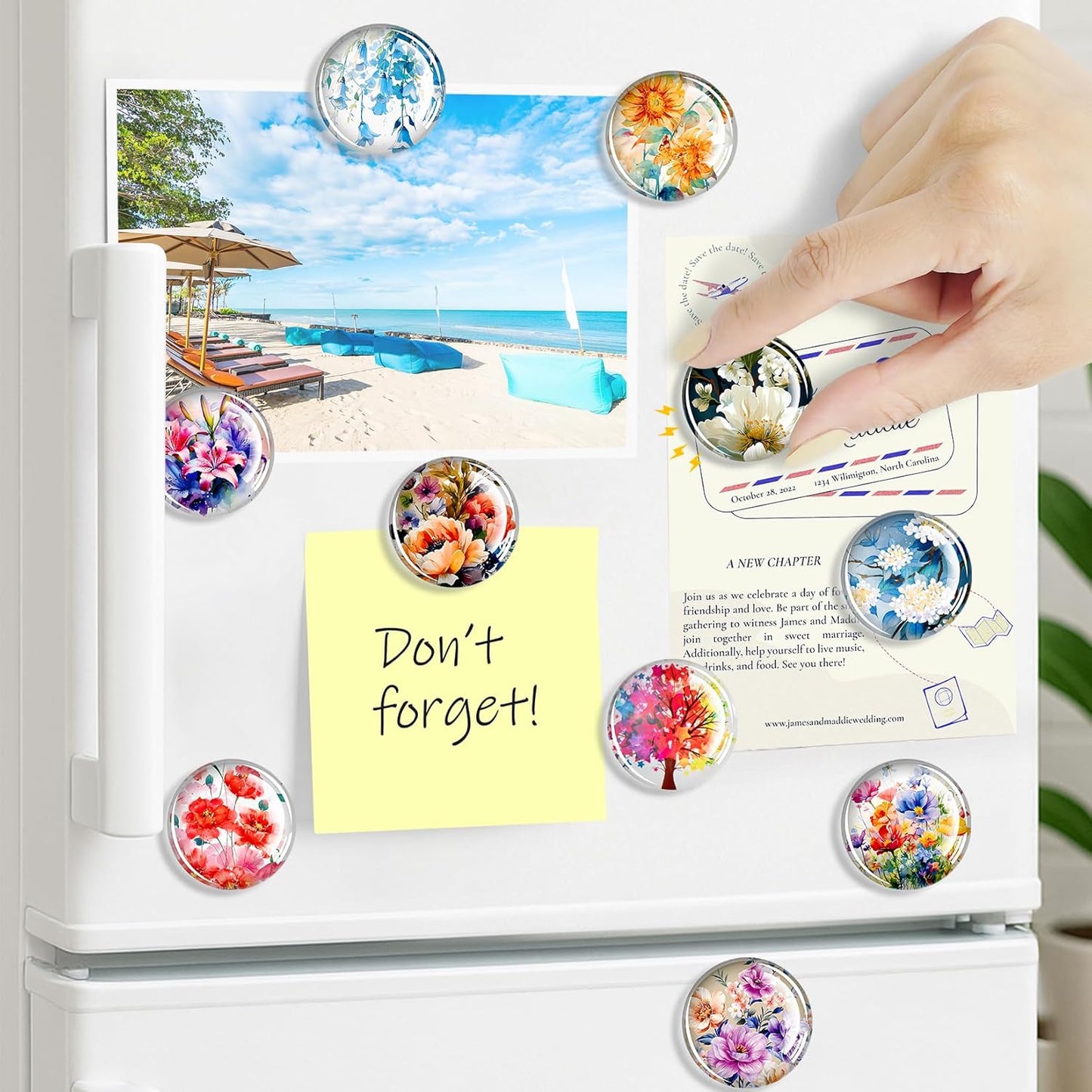 FIDNMAG Refrigerator Magnets, 12 Pcs Glass Fridge Magnets, Flower Magnet for Fridge, Decorative Magnet Small Cute for Refrigerator, Office, Home, Kitchen, Board, Locker, Fun, Adult, Classroom, Floral