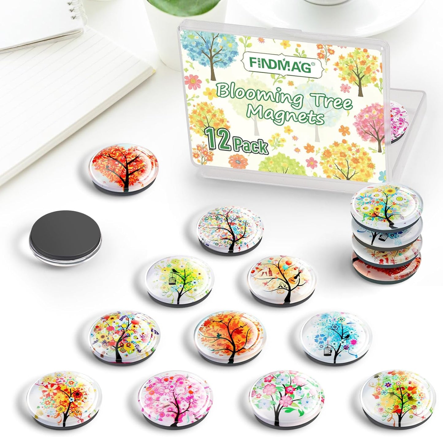 FINDMAG 12 Pcs Fridge Magnets, Decorative Refrigerator Magnets, Glass Magnet Refrigerator Fun, Strong Cute Magnet for Fridge, Locker, Whiteboard, Home, Kitchen, Office, Classroom, Adult