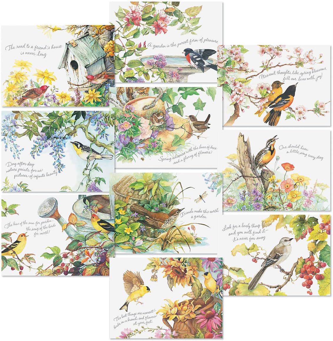 Current Nature's Serenade Religious Thinking of You Friendship Greeting Card Set - Value Pack of 20 Cards With White Envelopes for Friends & Family, 10 Designs, Large 5" x 7" Assortment