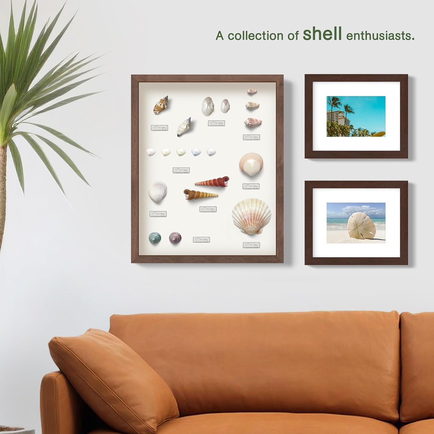 FrameWorks 12" x 18" Black Driftwood Wooden Shadow Box Frame – Soft Felt Back, Tempered Glass, and Included Elegant White Ball Push Pins