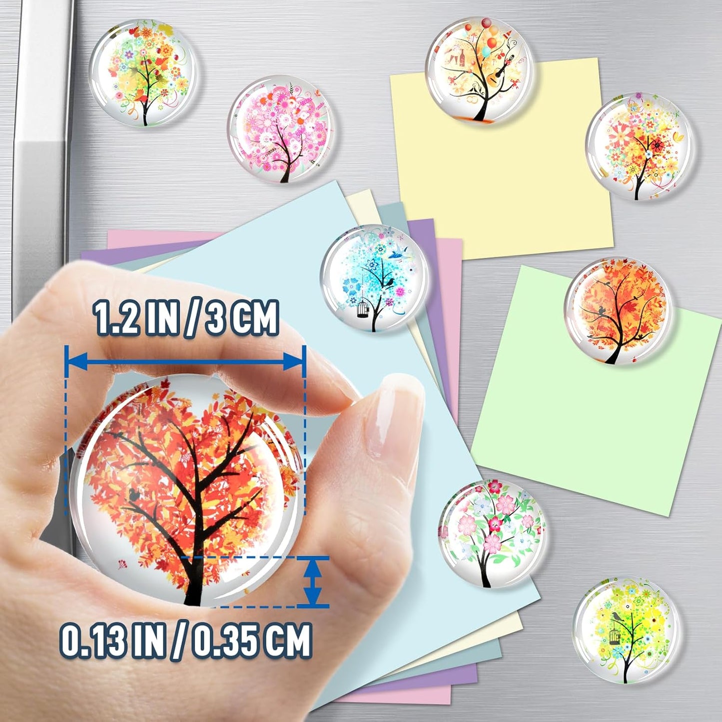FINDMAG 12 Pcs Fridge Magnets, Decorative Refrigerator Magnets, Glass Magnet Refrigerator Fun, Strong Cute Magnet for Fridge, Locker, Whiteboard, Home, Kitchen, Office, Classroom, Adult
