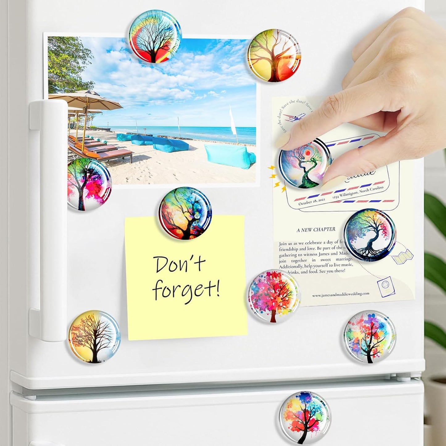 FIDNMAG Glass Fridge Magnets, Strong Magnets Refrigerator, Decorative Magnet for Fridge, Glass Refrigerator Magnet Cute for Office, Locker, Whiteboard, Home, Kitchen, Adults, Fun, Pack of 12