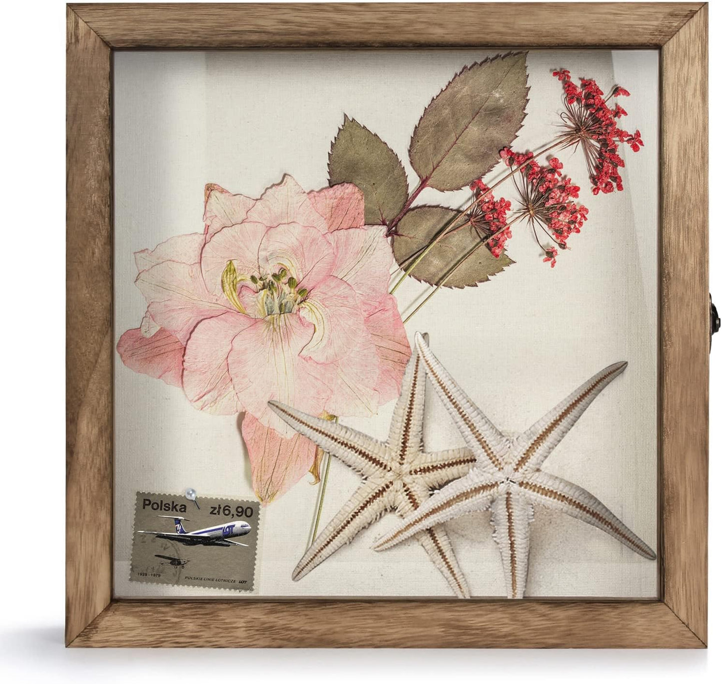 TJ.MOREE Shadow Box Display Case 11 x 11 Flowers Shadow Box Frame with Glass Window Picture Frame Wedding Bouquet Memorabilia Medals Photos Memory Box for Keepsakes - Carbonized