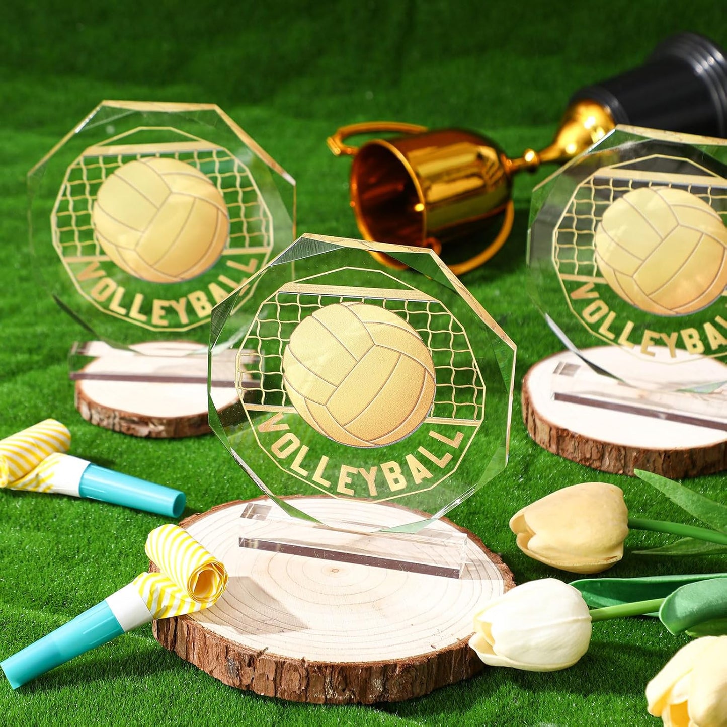 6 Pack Sports Trophy Acrylic Award Medals 4.72 x 4.72 Inch Sports Contest Trophies Bulk Plaques Team Prize Gift Trophies for Competition