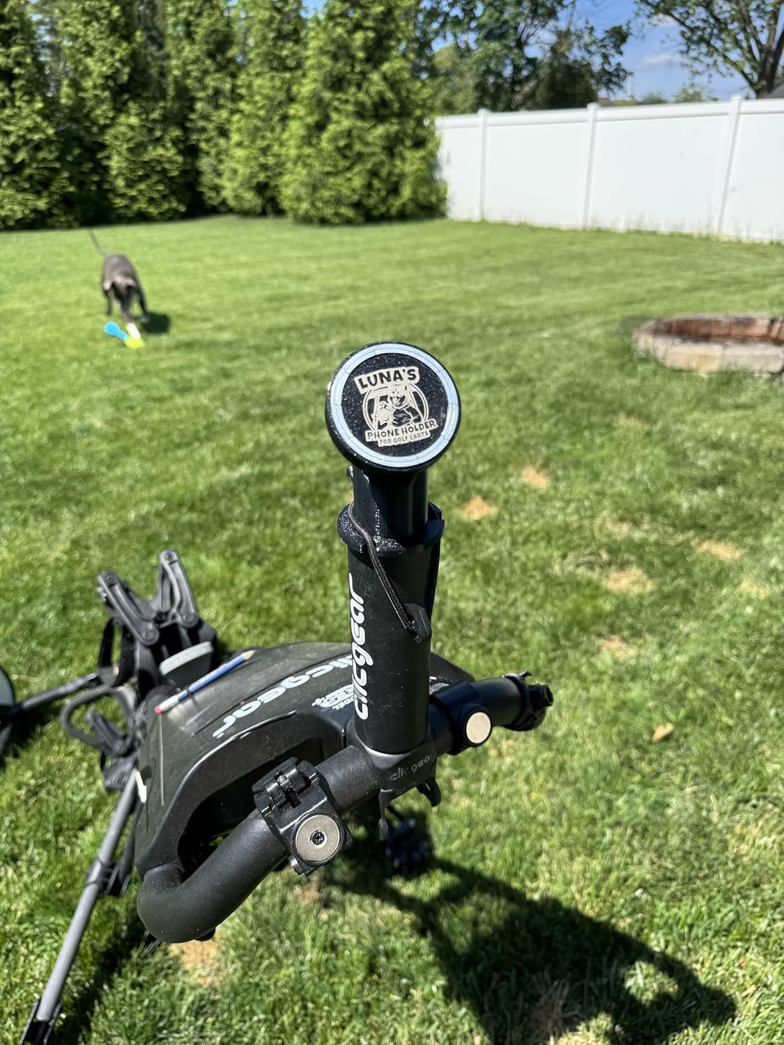 Luna's Phone Holder for Push cart Umbrella Ports, MagSafe Compatible Mount, 45lb Rated Magnet, Adjustable Neck, for iPhone 12 and Later, Golf Cart Compatible