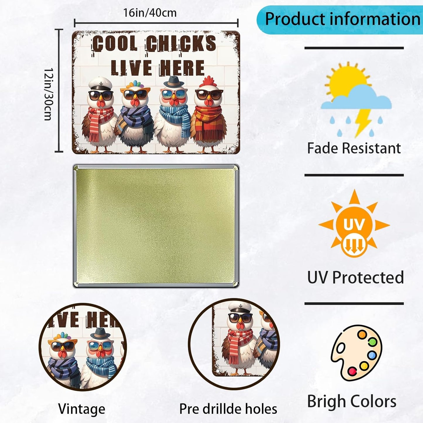 Funny Cool Chicks Live Here Tin Sign Plaque Metal Poster 12x16 Inch Home Kitchen Garden Restaurant Farm Wall Decor