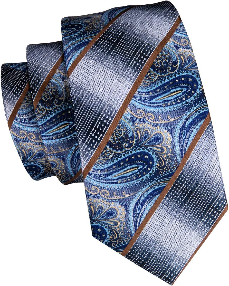 Dubulle Mens Paisley Striped Tie WOVEN Necktie for Men and Handkerchief Cufflinks Set Wedding Formal Business