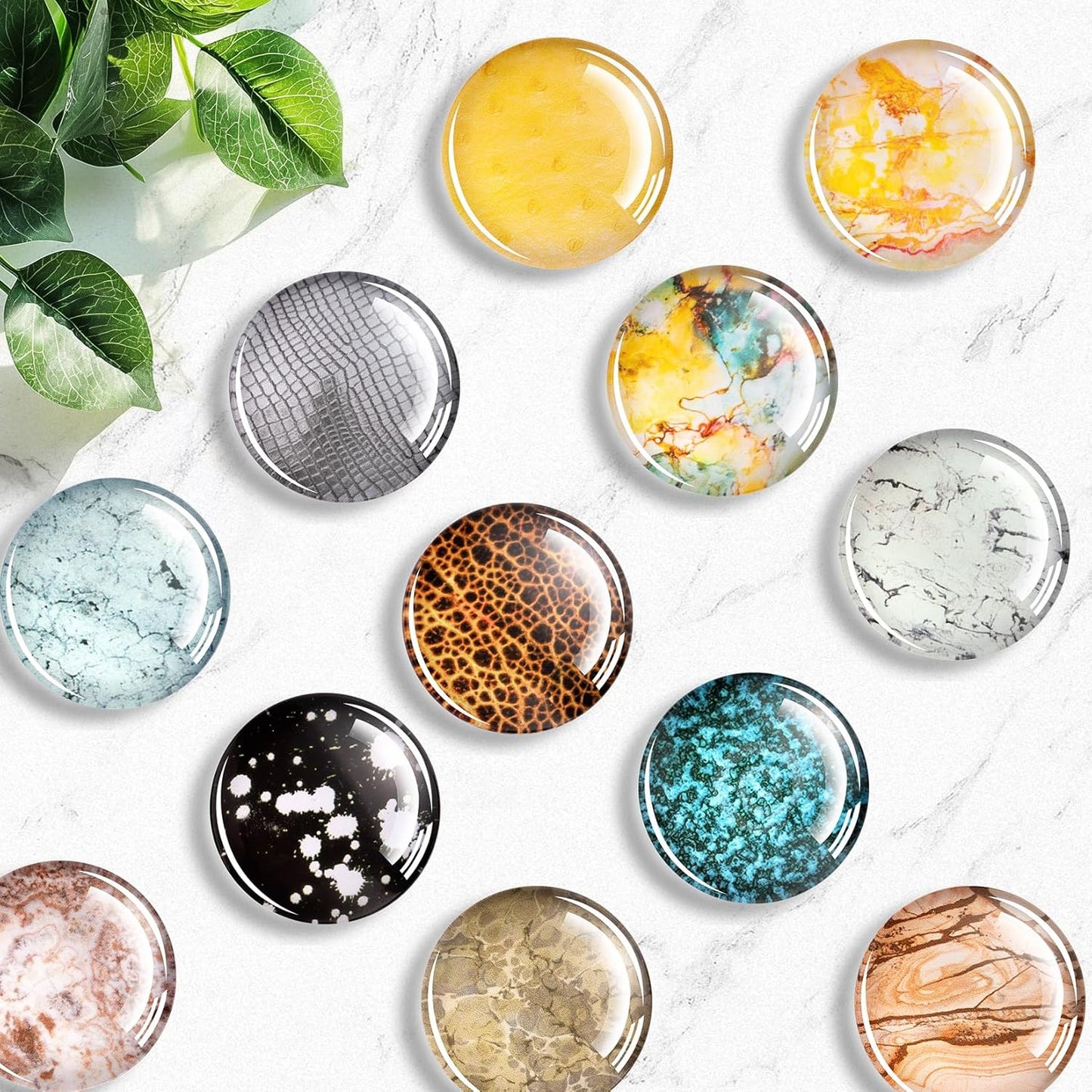 FINDMAG 12 Pcs Refrigerator Magnets Decorative, Small Cute Magnets, Strong Fridge Magnets Sticker, Dry Erase Board Magnet for Classroom, Kitchen, Cabinet, Gift