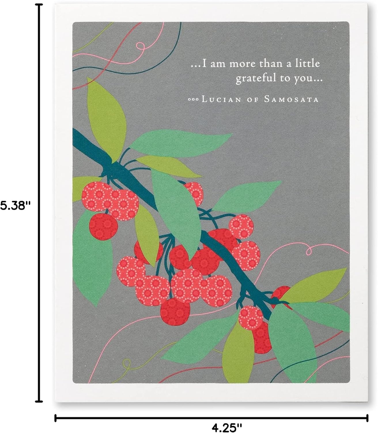 Compendium Positively Green 4-Pack of Thank You Cards – Blooms (Four Different Designs, One Card Each, with Envelopes)