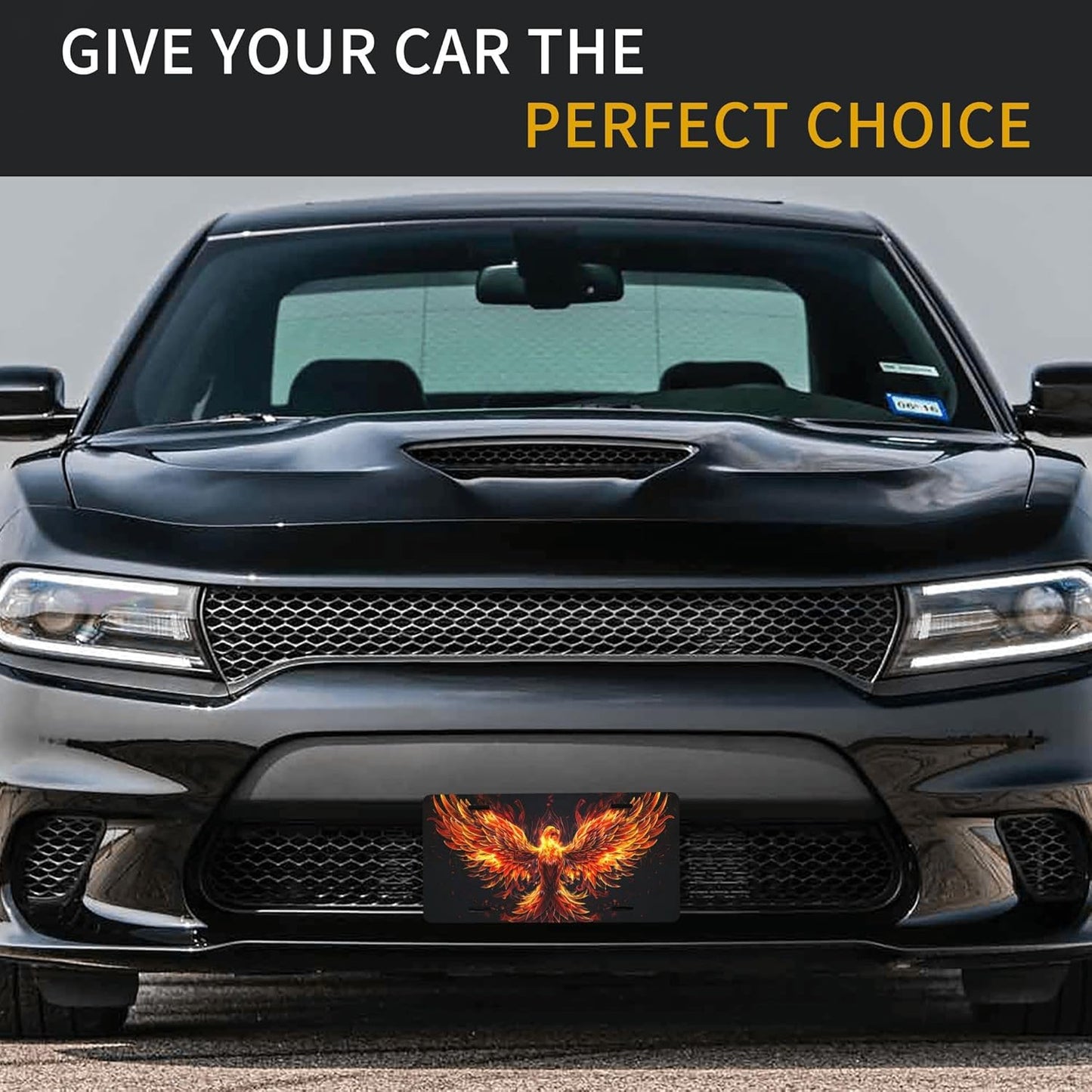 Golden Animal Phoenix Front License Plate for Car Designs Stainless License Plate Cover Holder for Men Women Metal Aluminum Decorative Accessory Vanity Tag Standard 6 X 12 Inch (4 Holes)