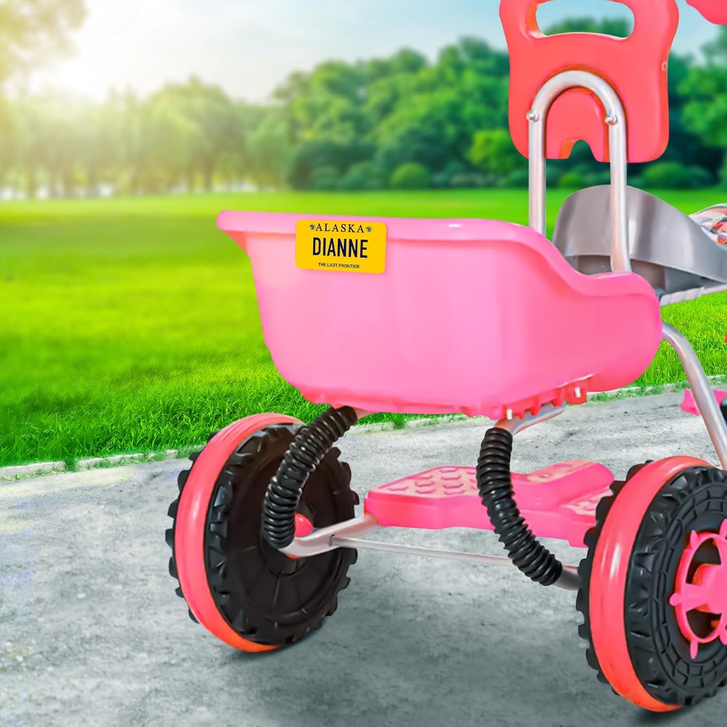 Mini License Plates, Personalized License Plates, Custom for Car, Bikes, ATV, Kids Car, Golf Cart, Jeep, 2x4 Inch, Rust-Free Fade Resistant Aluminum, USA Made by My Sign Center (Alaska)