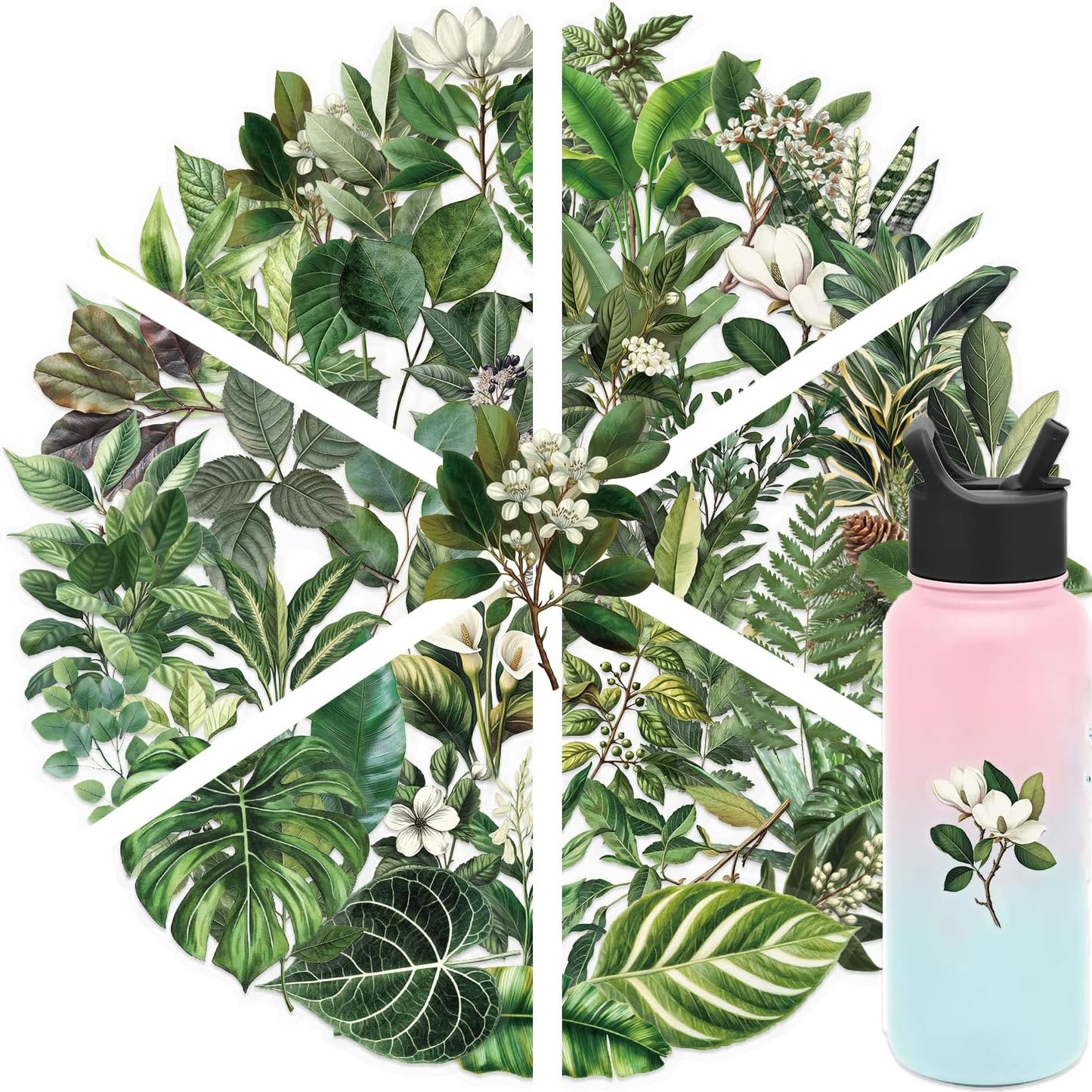 200 Pcs Natural Flower Stickers for Scrapbooking, Self-Adhesive Transparent Floral Stickers in 4 Colors, Journaling Supplies for Adult Card Making, Water Bottle Decoration(Natural Floral)