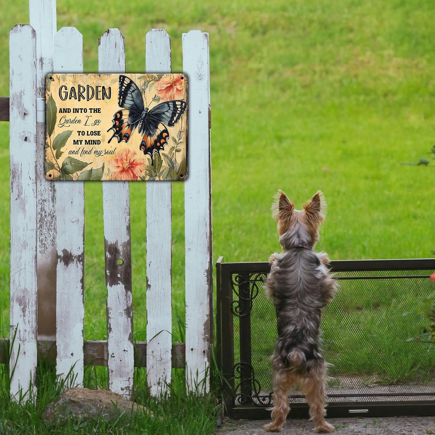 Funny Garden Metal Sign And Into The Garden I Go To Lose My Mind and Find My Soul Butterfly Poster for Farmhouse Home Kitchen 12x16 Inch