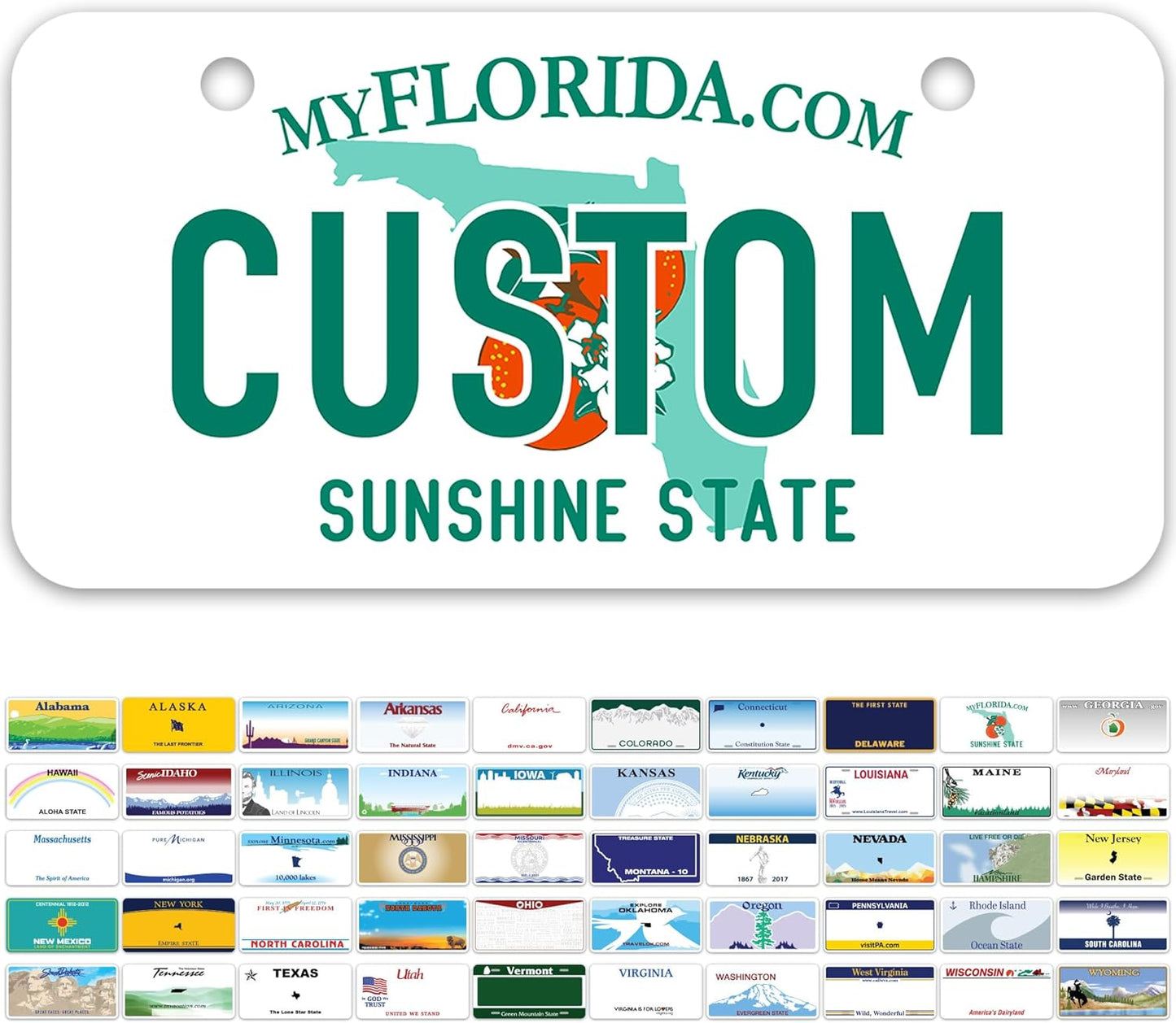 Mini License Plates, Personalized License Plates, Custom for Car, Bikes, ATV, Kids Car, Golf Cart, Jeep, 2x4 Inch, Rust-Free Fade Resistant Aluminum, USA Made by My Sign Center (Florida)