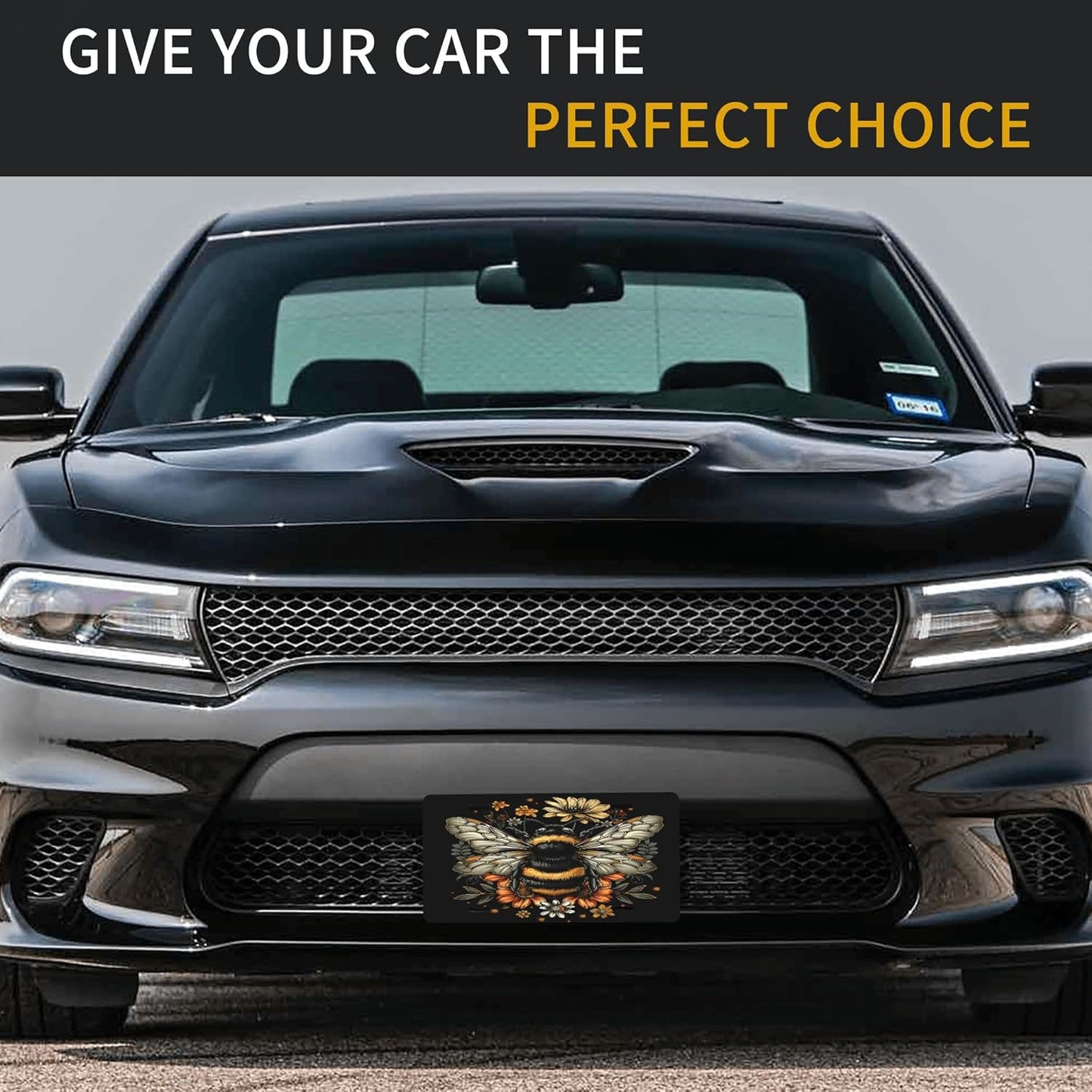 Front License Plate for Car Designs Insect Bee Flower Stainless License Plate Cover Holder for Men Women Metal Aluminum Decorative Accessory Vanity Tag Standard 6 X 12 inch (4 Holes)