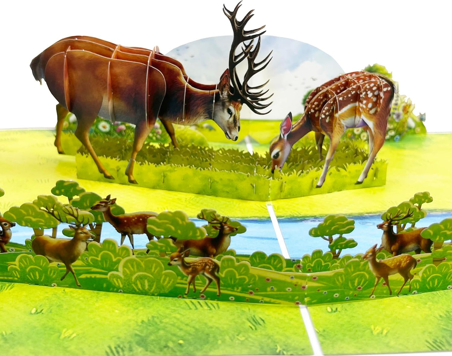 3D Deer Popup Card - Handmade Wildlife Paper Art for Birthday, Anniversary, Christmas, Mother's Father’s Day - Unique Gift for Him, Her, Dad, Son, Husband, Hunter, Deer Lover