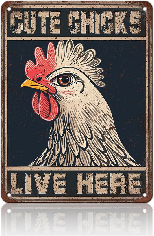 Chicken Signs For Coop Funny Outdoor - Cute Chicks Live Here Iron Sign Poster Chicken Sign Home Decor Garage Bar Restaurant Kitchen Cafe Bar Pub 12x16 Inch Wall Art Decor