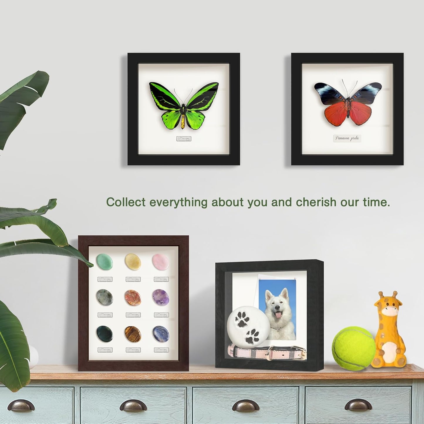 FrameWorks 8” x 8” White Wooden Shadow Box Frame – Display Case with Soft Felt Back, Memory Box with Tempered Glass, Display Box with Elegant White Ball Push Pins, Wooden Flower Box