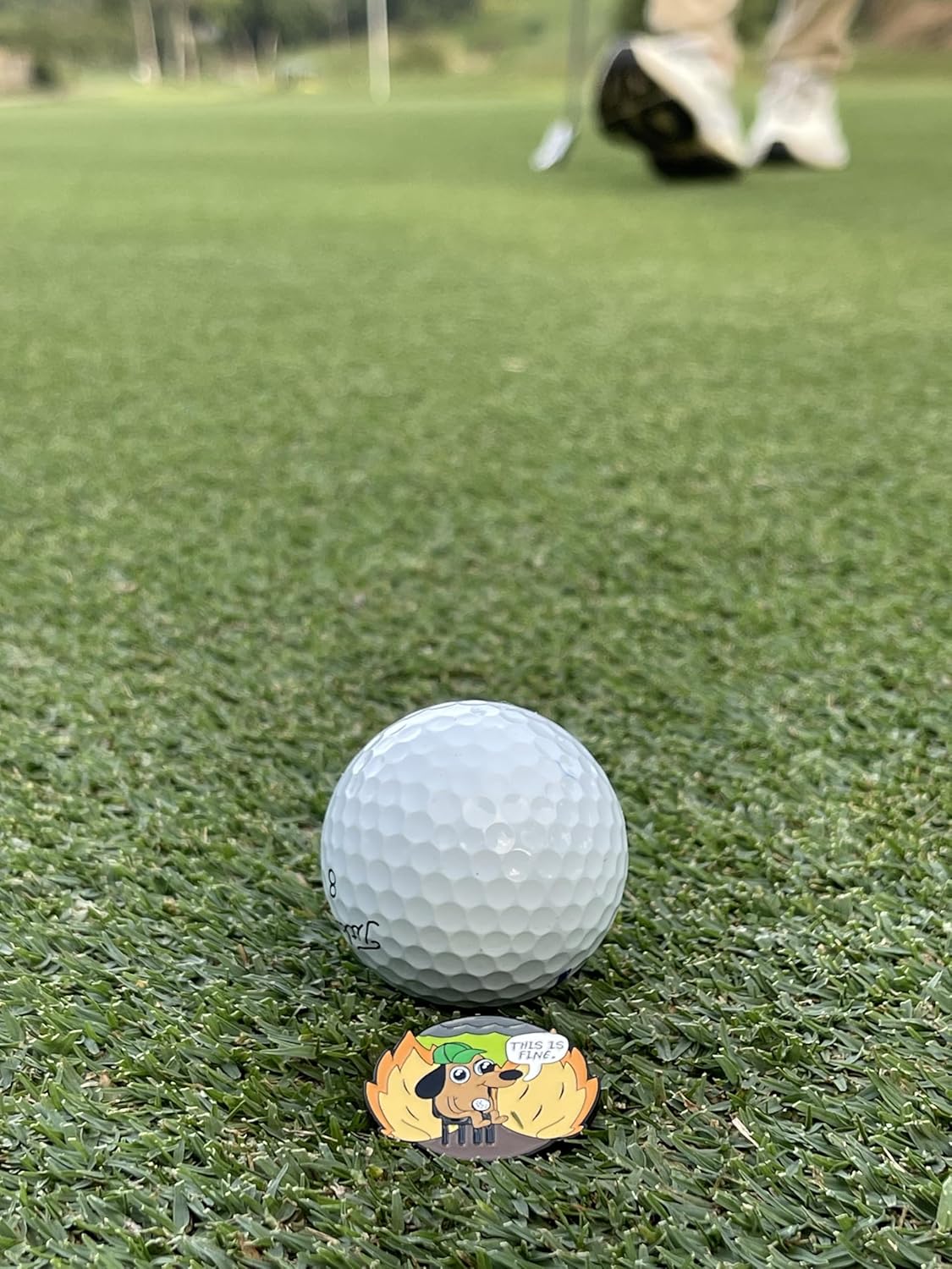 wolph This is FINE Golf Ball Marker Hat Clip – Magnetic & Durable Golf Accessories for Men Women – Funny Golf Gifts to Elevate & Personalize Your Game.